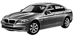 BMW F10 DF154 Fault Code